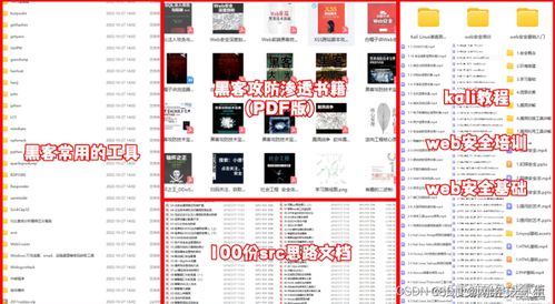 網絡安全與黑客技術 自學計算機軟硬件的全面指南